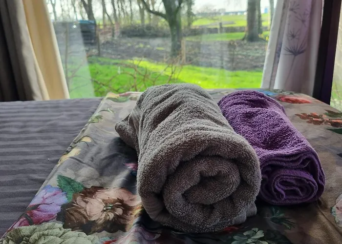 Bed & Breakfast Farmer A With Bikes , And Free Parking Amsterdam