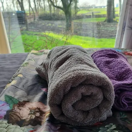 לינה וארוחת בוקר City Farmer Amsterdam A Guesthouse With Bikes , Bed & Breakfast And Free Parking אמסטרדם