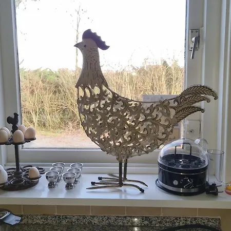 City Farmer Amsterdam A Guesthouse With Bikes , Bed & Breakfast And Free Parking 4*