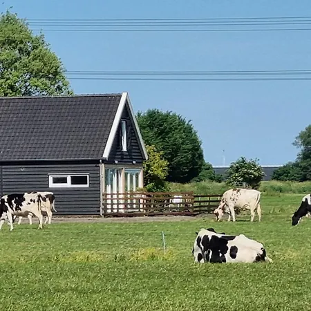 City Farmer Amsterdam A Guesthouse With Bikes , Bed & Breakfast And Free Parking לינה וארוחת בוקר