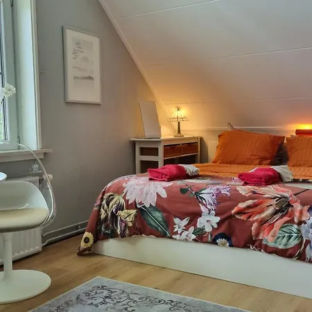 City Farmer Amsterdam A Guesthouse With Bikes , Bed & Breakfast And Free Parking